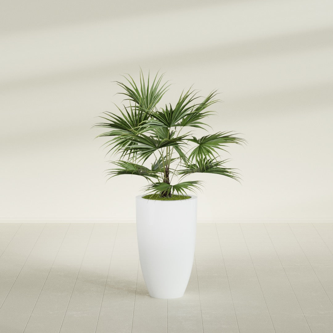 Brannan Medium Round Fiberglass Planter - 18 in x 18 in x 29 in - Matte White - Matte White,18 in x 18 in x 29 in