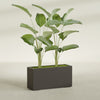 Tolga Extra Large Long Rectangle Fiberglass Planter - 48 in x 16 in x 24 in - Matte Brown - Matte Brown,48 in x 16 in x 24 in