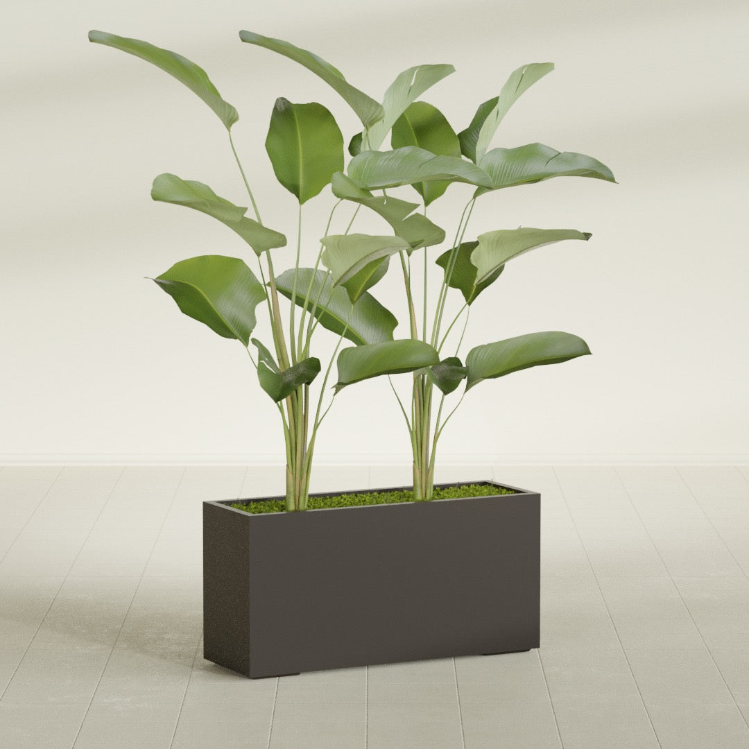 Tolga Extra Large Long Rectangle Fiberglass Planter - 48 in x 16 in x 24 in - Matte Brown - Matte Brown,48 in x 16 in x 24 in