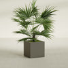 Montroy Medium Cube Square Fiberglass Planter - 24 in x 24 in x 24 in - Matte Bronze - Matte Bronze,24 in x 24 in x 24 in
