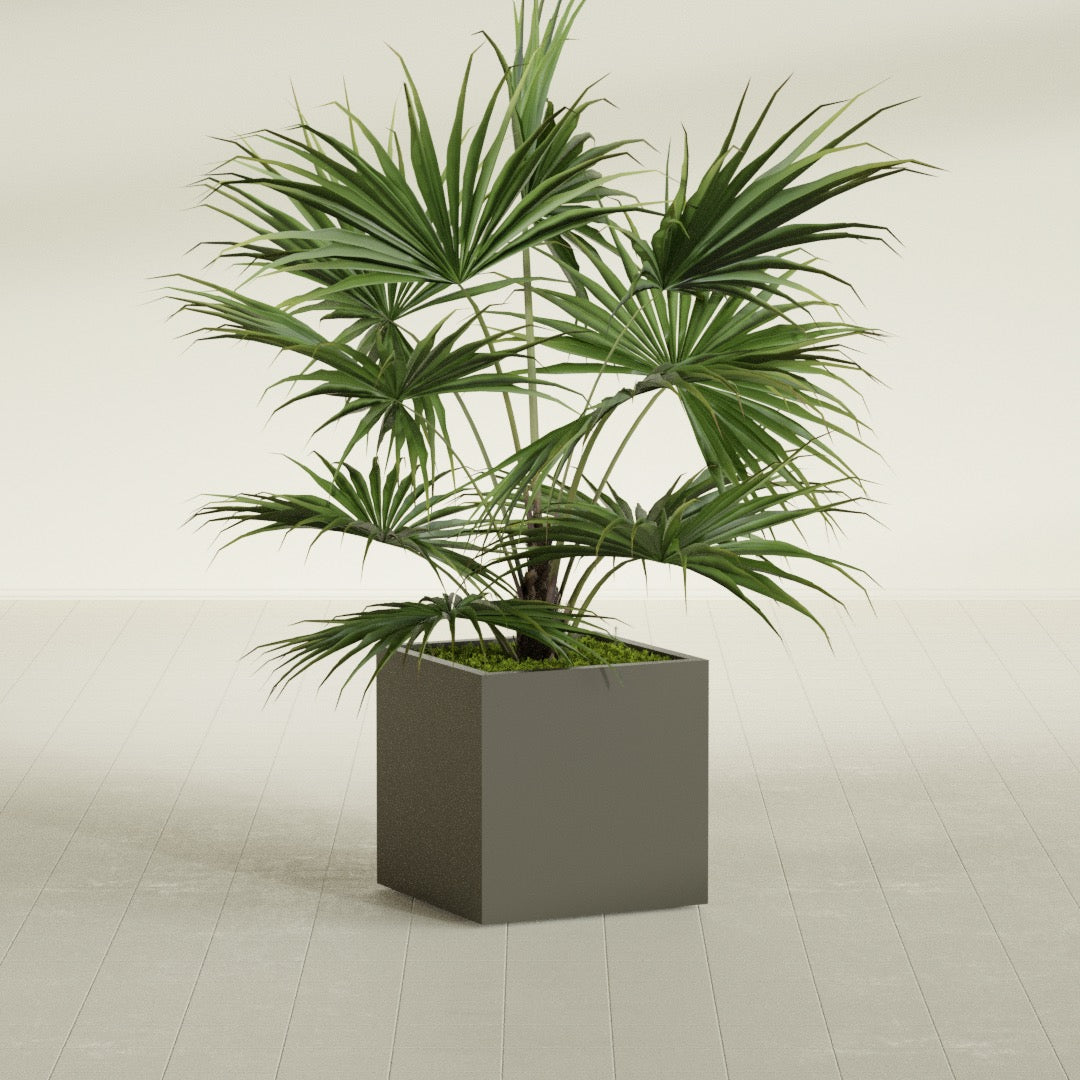 Montroy Medium Cube Square Fiberglass Planter - 24 in x 24 in x 24 in - Matte Bronze - Matte Bronze,24 in x 24 in x 24 in