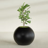 Globe Large Sphere Fiberglass Planter - 36 in x 36 in x 30 in - Matte Black - Matte Black,36 in x 36 in x 30 in