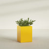 Brisbane Large Rectangle Fiberglass Planter - 24 in x 24 in x 32 in - Gloss Saffron - Gloss Saffron,24 in x 24 in x 32 in