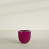 Alzira Medium Round Fiberglass Planter - 23 in x 23 in x 22 in - Gloss Eggplant - Gloss Eggplant,23 in x 23 in x 22 in