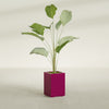 Tolga Medium Rectangle Fiberglass Planter - 16 in x 16 in x 24 in - Gloss Eggplant - Gloss Eggplant,16 in x 16 in x 24 in