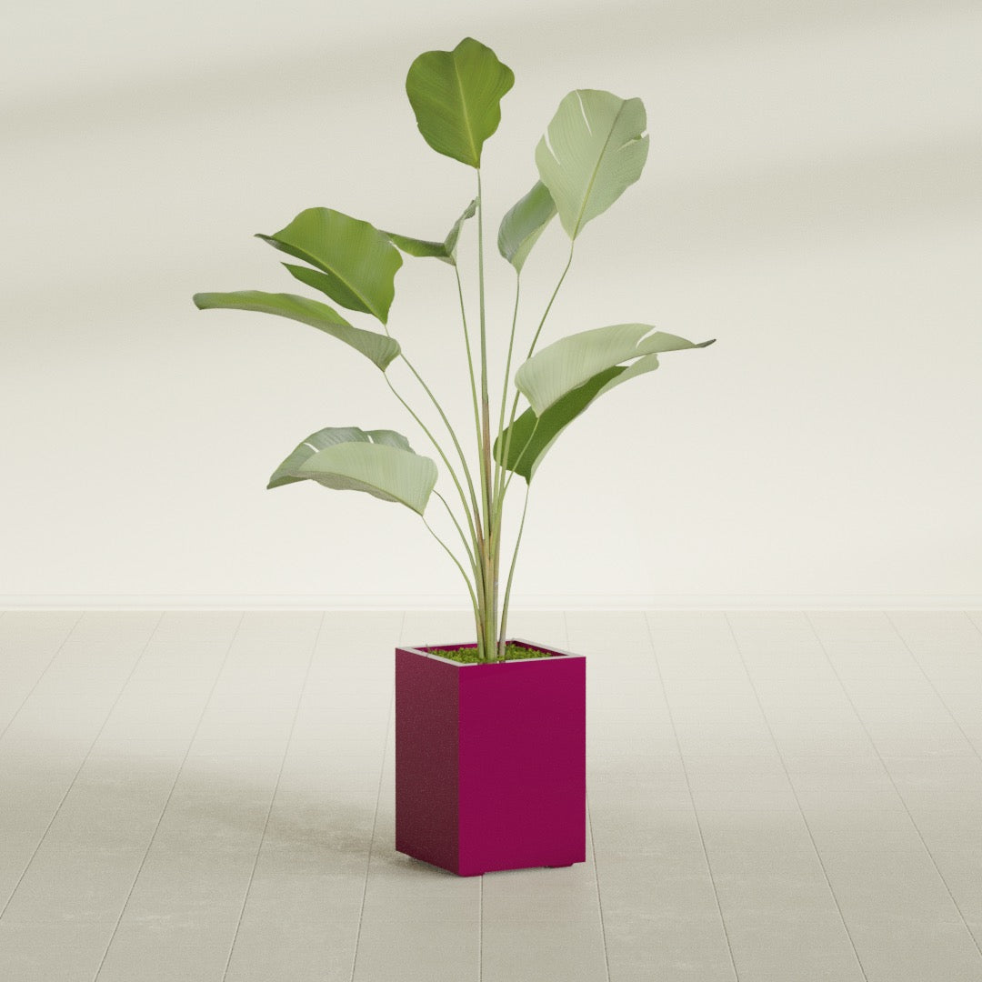 Tolga Medium Rectangle Fiberglass Planter - 16 in x 16 in x 24 in - Gloss Eggplant - Gloss Eggplant,16 in x 16 in x 24 in