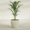 Wannsee Large Round Fiberglass Planter - 33 in x 33 in x 29 in - Satin Beige - Satin Beige,33 in x 33 in x 29 in