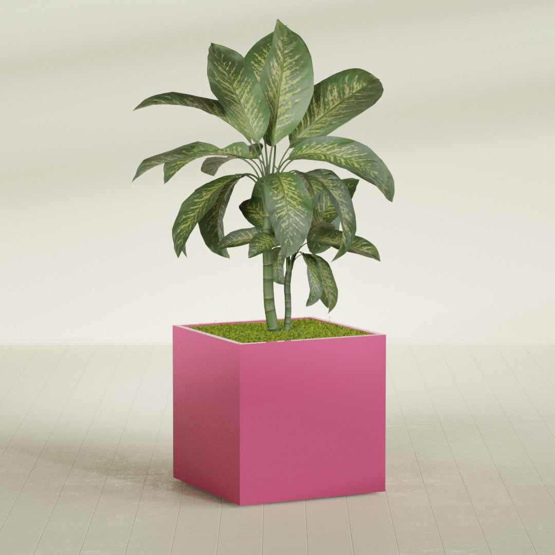 Montroy Large Cube Square Fiberglass Planter - 36 in x 36 in x 36 in - Gloss Pink Violet - Gloss Pink Violet,36 in x 36 in x 36 in