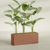 Tolga Extra Large Long Rectangle Fiberglass Planter - 60 in x 16 in x 24 in - Matte Terracotta - Matte Terracotta,60 in x 16 in x 24 in