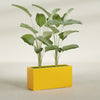 Tolga Extra Large Long Rectangle Fiberglass Planter - 48 in x 16 in x 24 in - Gloss Saffron - Gloss Saffron,48 in x 16 in x 24 in