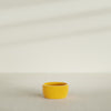Casablanca Medium Round Low Bowl Fiberglass Planter - 20 in x 20 in x 10 in - Gloss Saffron - Gloss Saffron,20 in x 20 in x 10 in