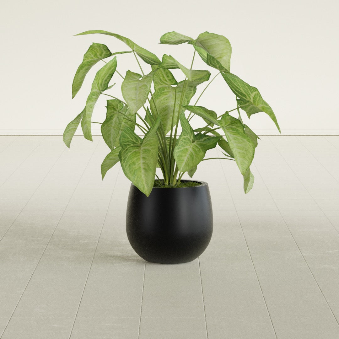 Westfield - 10in diam. x 9in - Matte Black - Matte Black,10 in diam. x 9 in H