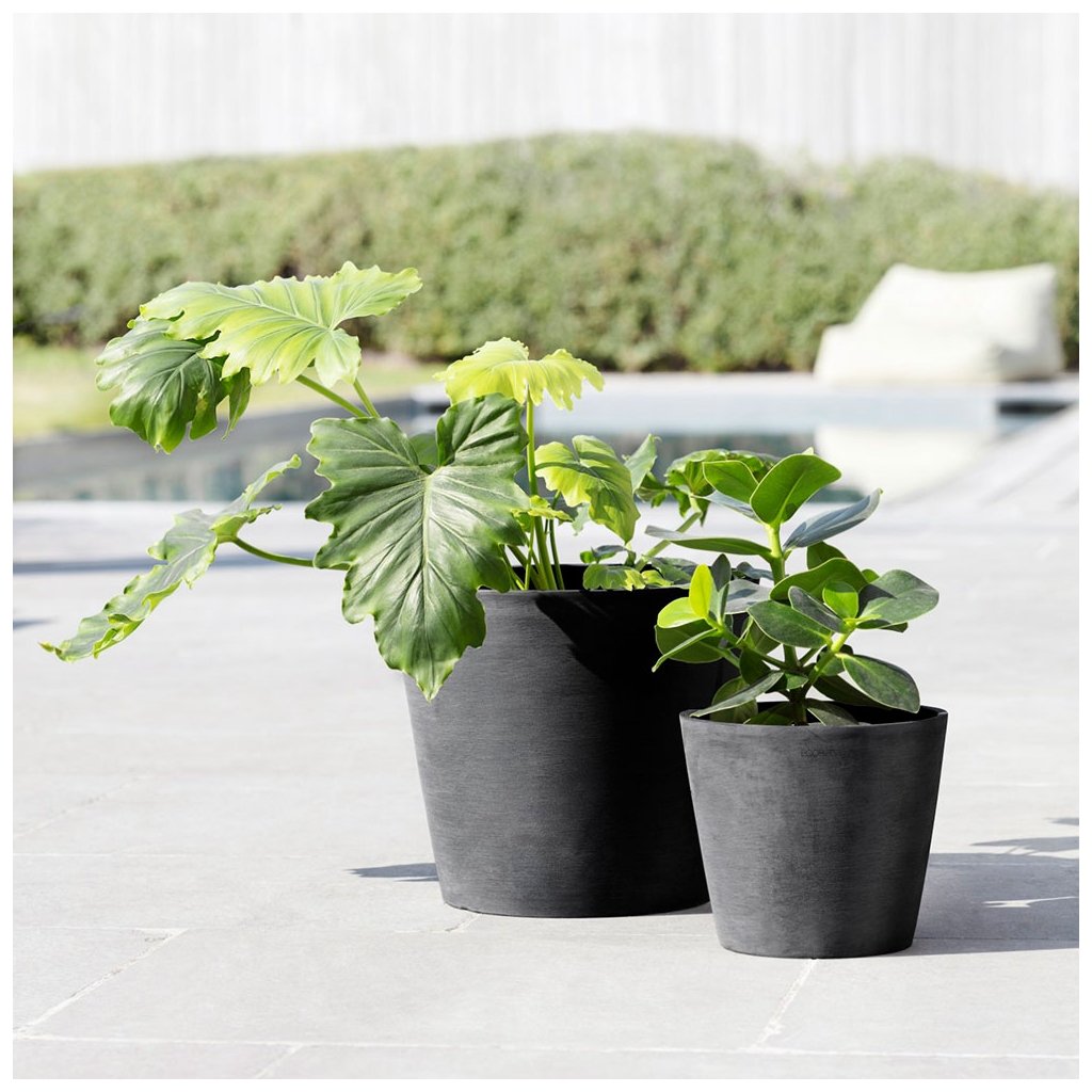 Amsterdam - 8in diam. x 7in