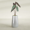 Saigon Large Tapered Round Planter - 14 in x 14 in x 30 in - Metallic Silver - Metallic Silver,13.7 in x 13.7 in 30 in