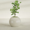 Globe Large Sphere Fiberglass Planter - 30 in x 30 in x 24 in - Satin Beige - Satin Beige,30 in x 30 in x 24 in