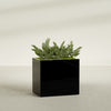 Brisbane Large Rectangle Fiberglass Planter - 36 in x 24 in x 32 in - Gloss Black - Gloss Black,36 in x 24 in x 32 in