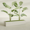 Cuba Extra Large Long Rectangle Fiberglass Planter - 60 in x 14 in x 12 in - Satin Beige - Satin Beige,60 in x 14 in x 12 in