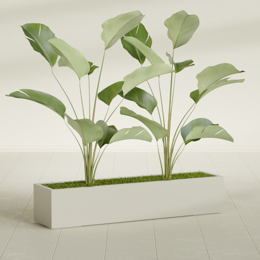 Cuba Extra Large Long Rectangle Fiberglass Planter - 60 in x 14 in x 12 in - Satin Beige - Satin Beige,60 in x 14 in x 12 in
