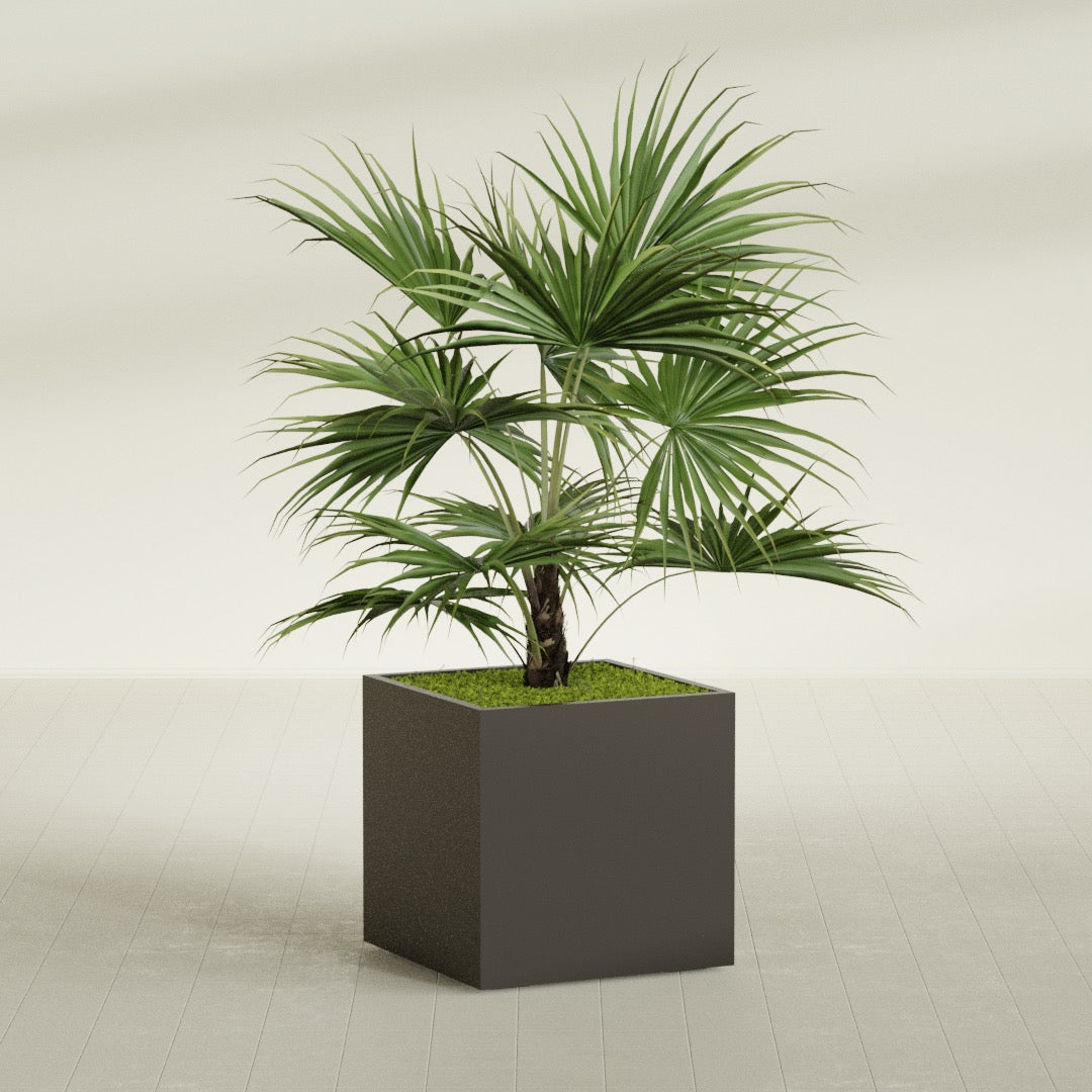 Montroy Large Cube Square Fiberglass Planter - 32 in x 32 in x 32 in - Matte Brown - Matte Brown,32 in x 32 in x 32 in