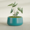 Short Hayden Medium Round Fiberglass Planter - 20 in x 20 in x 10 in - Satin Sea Foam - Satin Sea Foam,20 in x 20 in x 10 in