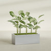 Torino Extra Large Wide Rectangle Fiberglass Planter - 48 in x 24 in x 18 in - Metallic Silver - Metallic Silver,48 in x 24 in x 18 in