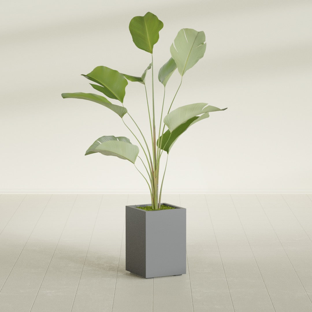 Tolga Medium Rectangle Fiberglass Planter - 16 in x 16 in x 24 in - Metallic Gunmetal - Metallic Gunmetal,16 in x 16 in x 24 in