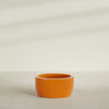 Casablanca Large Round Low Bowl Fiberglass Planter - 30 in x 30 in x 15 in - Gloss Tangerine - Gloss Tangerine,30 in x 30 in x 15 in