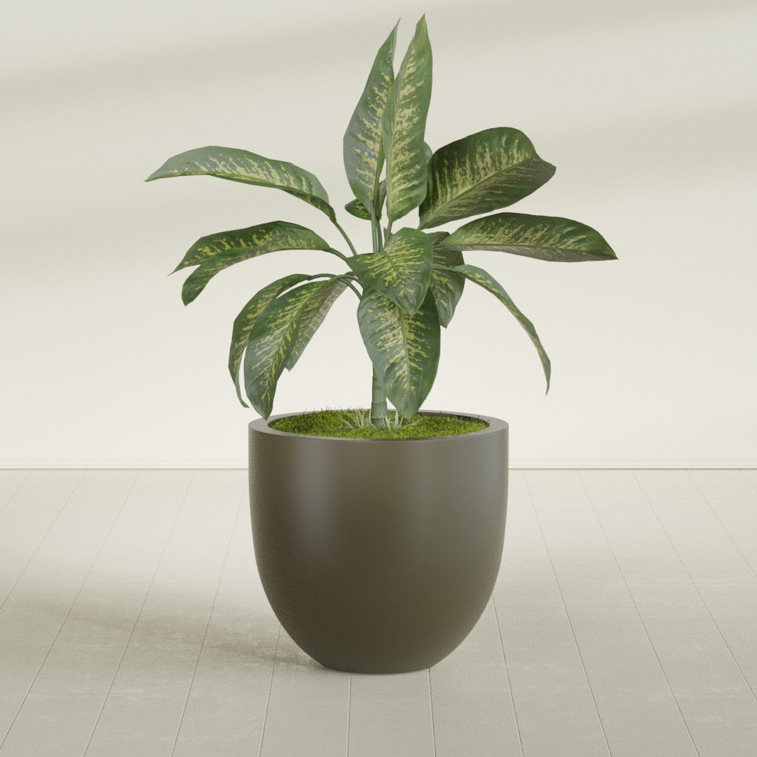 Alzira Large Round Fiberglass Planter - 30 in x 30 in x 28 in - Matte Bronze - Matte Bronze,30 in x 30 in x 28 in