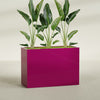 Darwin Extra Large Long Rectangle Fiberglass Planter - 60 in x 24 in x 42 in - Gloss Eggplant - Gloss Eggplant,60 in x 24 in x 42 in
