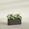 Miami Large Narrow Rectangle Fiberglass Planter - 36 in x 12 in x 18 in - Matte Brown - Matte Brown,36 in x 12 in x 18 in