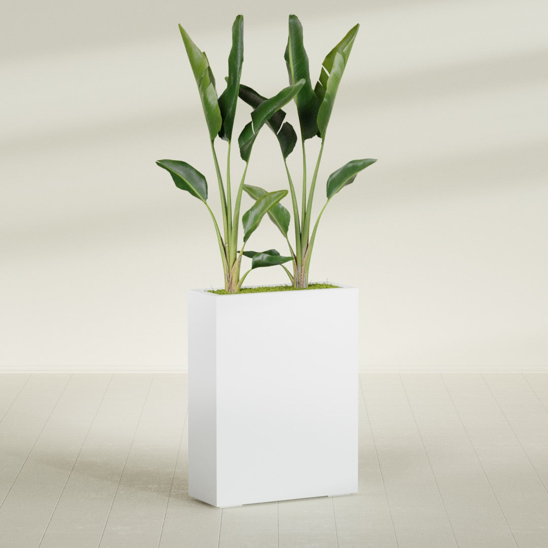 Amesbury Large Narrow Rectangle Fiberglass Planter - 24 in x 10 in x 32 in - Gloss White - Gloss White,24 in x 10 in x 32 in