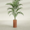 Corry Medium Tall Cylinder Fiberglass Planter - 10 in x 10 in x 20 in - Matte Terracotta - Matte Terracotta,10 in x 10 in x 20 in