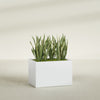 Granada Large Rectangle Fiberglass Planter - 36 in x 24 in x 24 in - Gloss White - Gloss White,36 in x 24 in x 24 in