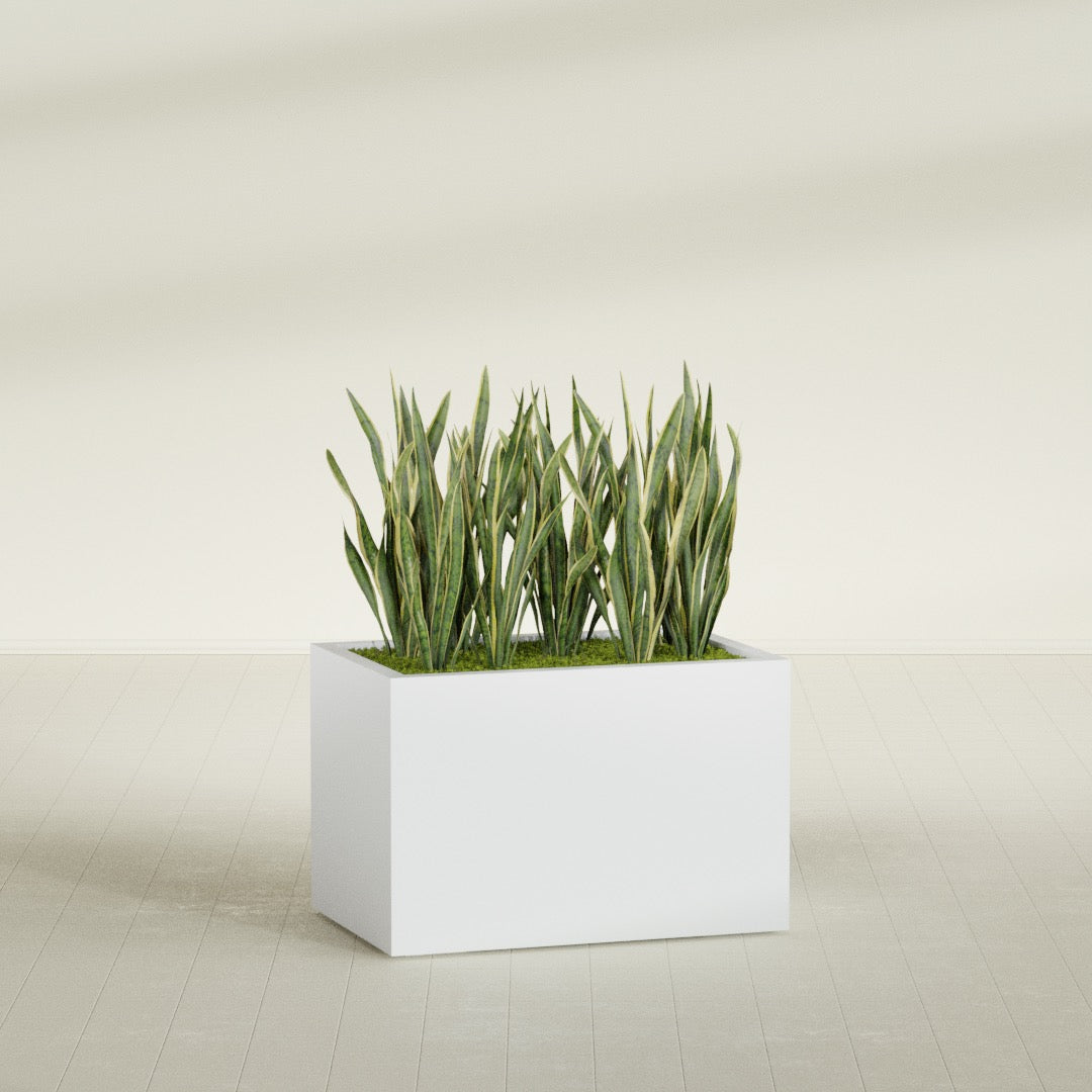 Granada Large Rectangle Fiberglass Planter - 36 in x 24 in x 24 in - Gloss White - Gloss White,36 in x 24 in x 24 in