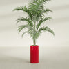 Corry Medium Tall Cylinder Fiberglass Planter - 10 in x 10 in x 20 in - Gloss Red - Gloss Red,10 in x 10 in x 20 in