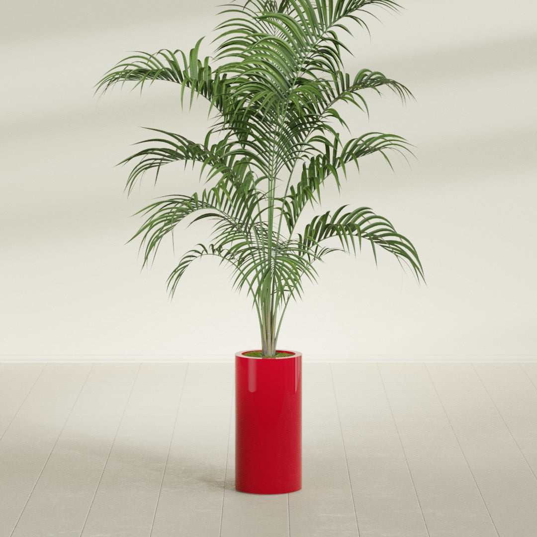 Corry Medium Tall Cylinder Fiberglass Planter - 10 in x 10 in x 20 in - Gloss Red - Gloss Red,10 in x 10 in x 20 in