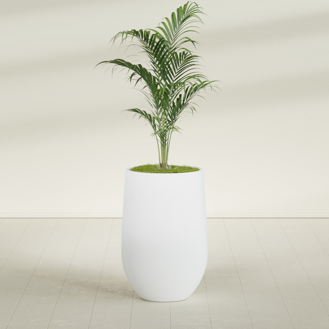 Westfield - 20in diam. x 30in - Gloss White - Gloss White,20 in diam. x 30 in H