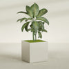 Montroy Large Cube Square Fiberglass Planter - 36 in x 36 in x 36 in - Satin Beige - Satin Beige,36 in x 36 in x 36 in
