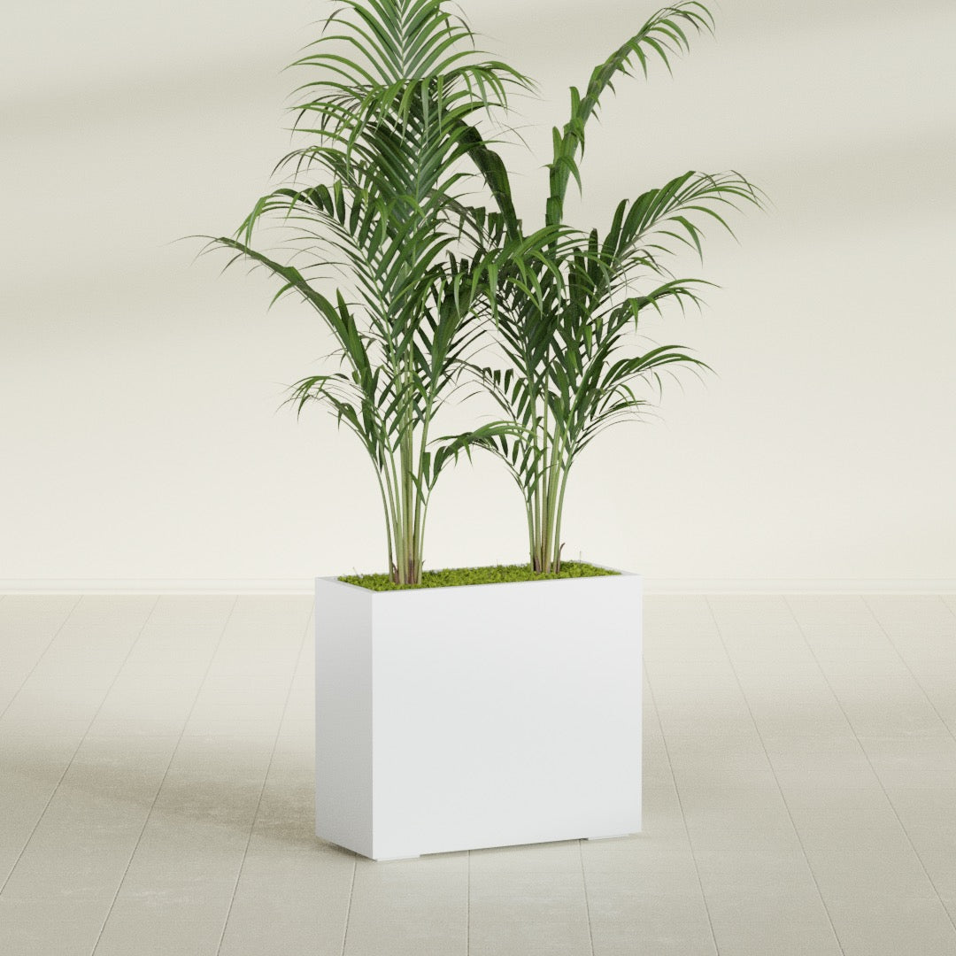 Potsdam Large Rectangle Fiberglass Planter - 36 in x 16 in x 32 in - Gloss White - Gloss White,36 in x 16 in x 32 in