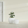 Fishbowl Small Round Fiberglass Planter - 16 in x 16 in x 14 in - Gloss White - Gloss White,16 in x 16 in x 14 in