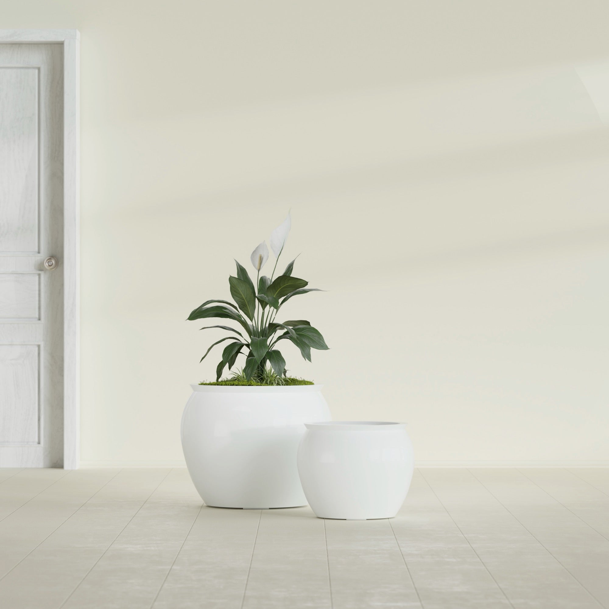 Fishbowl Small Round Fiberglass Planter - 16 in x 16 in x 14 in - Gloss White - Gloss White,16 in x 16 in x 14 in