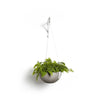 Hanging Brussels Small Bowl Planter - 10.5 in x 10.5 in x 5 in - Taupe - Taupe,10.5 in x 10.5 in x 5 in