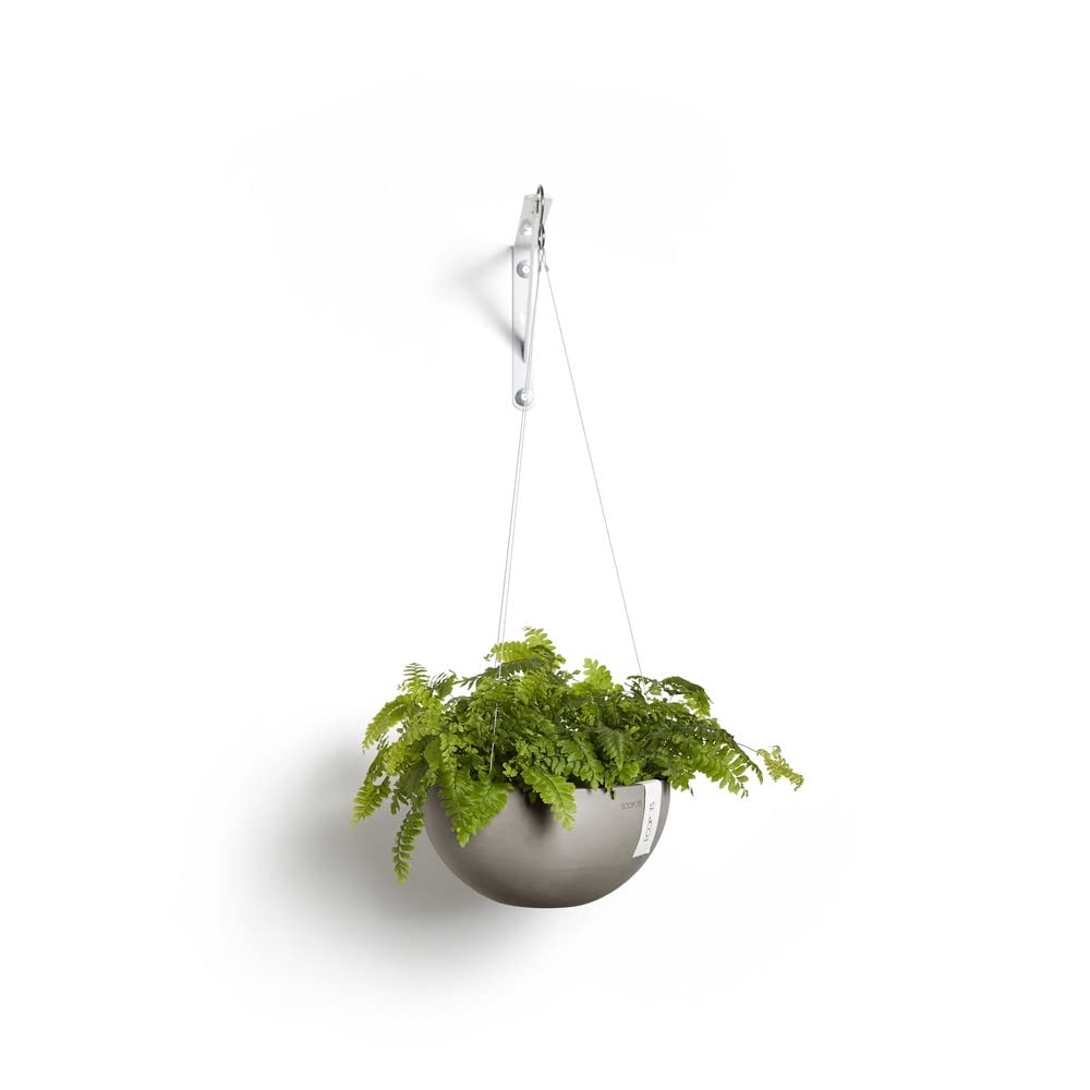 Hanging Brussels Small Bowl Planter - 10.5 in x 10.5 in x 5 in - Taupe - Taupe,10.5 in x 10.5 in x 5 in