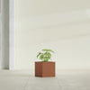 Monaco Square - 7in x 7in x 7 - Matte Terracotta - Matte Terracotta,7 in x 7 in x 7 in