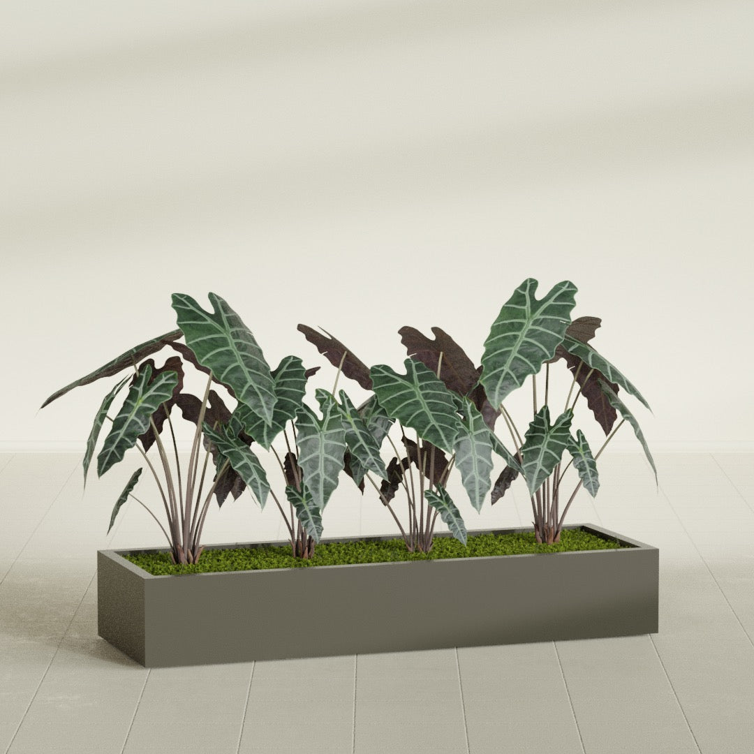 Antwerp Extra Large Long Rectangle Fiberglass Planter - 72 in x 24 in x 12 in - Matte Bronze - Matte Bronze,72 in x 24 in x 12 in