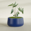 Short Hayden Medium Round Fiberglass Planter - 20 in x 20 in x 10 in - Matte Cobalt Blue - Matte Cobalt Blue,20 in x 20 in x 10 in