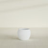 Fishbowl Small Round Fiberglass Planter - 16 in x 16 in x 14 in - Gloss White - Gloss White,16 in x 16 in x 14 in