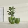 Alzira Large Round Fiberglass Planter - 30 in x 30 in x 28 in - Satin Green - Satin Green,30 in x 30 in x 28 in