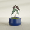 Short Hayden Small Round Fiberglass Planter - 16 in x 16 in x 8 in - Matte Cobalt Blue - Matte Cobalt Blue,16 in x 16 in x 8 in