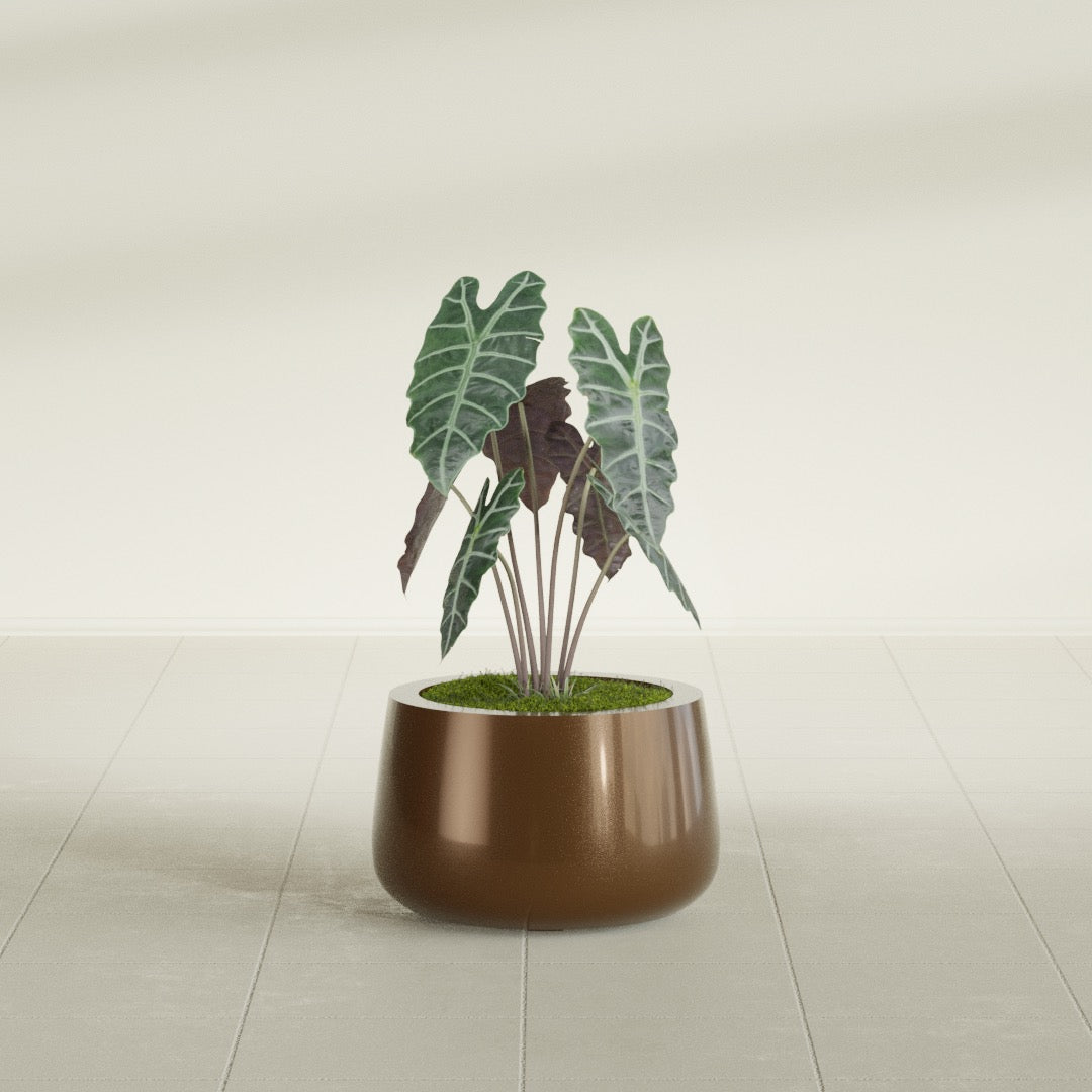 Short Hayden Small Round Fiberglass Planter - 12 in x 12 in x 7 in - Metallic Bronze - Metallic Bronze,12 in x 12 in x 7 in